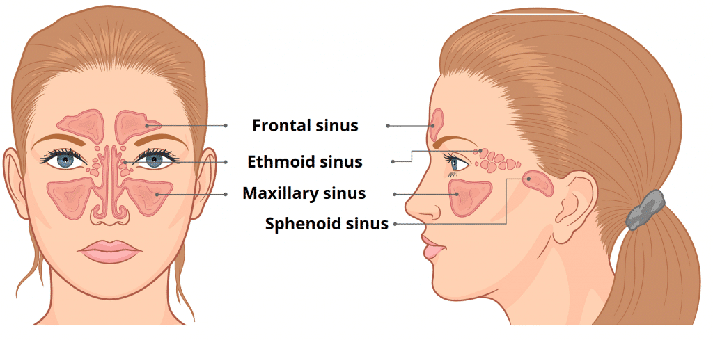 sinus detox